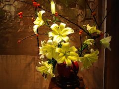 -31号公馆(黄兴广场白果园店)