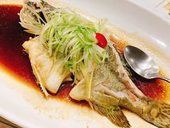 -麒麟中餐厅·经典粤菜·地道菜式老字号(广州长隆酒店)