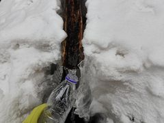 -峡谷浮石林景区