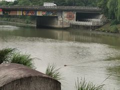 -运河游船(武林门码头)