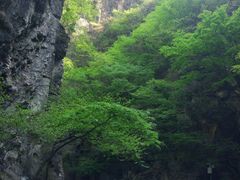 -焦作青龙峡风景名胜区