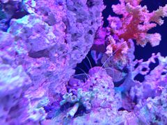 -海合安武汉极地海洋公园