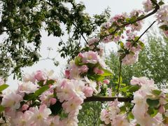 -元大都城垣遗址公园