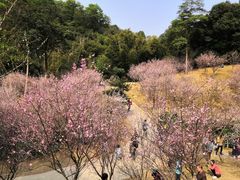 -广州市白云山风景名胜区