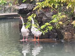 -兰亭风景区