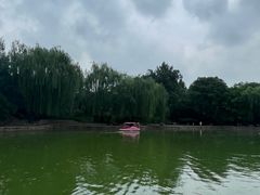 -团结湖公园
