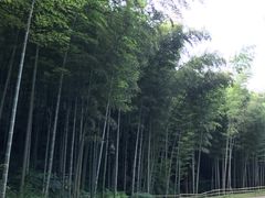 -黄公望隐居地