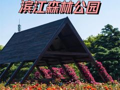 -上海滨江森林公园