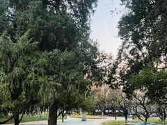 -宣武艺园
