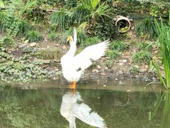-得丘礼享谷·玉兰苑