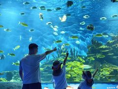 -海合安武汉极地海洋公园