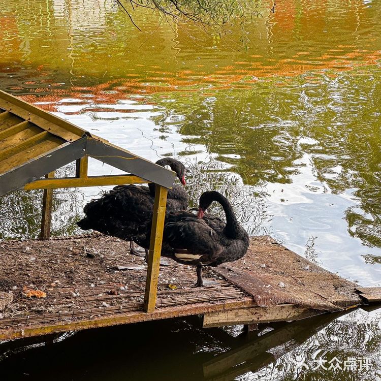 北京周末遛娃好去处,捞鱼挖沙子吃自助
