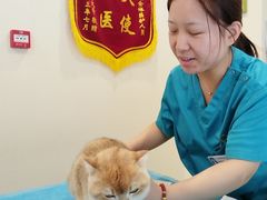 -美迦爱-牙专科·兔科·骨科诊疗中心(北苑店)