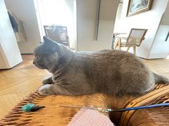 -Me Coffee下午茶艺术空间