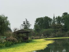 -桤木河湿地公园