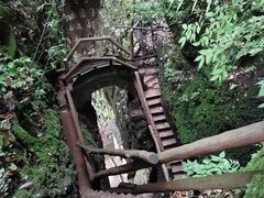 -青城山