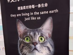 -瑞派雷欧宠物医院·中兽医·眼科·急重症转诊中心(黄台店)