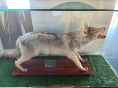 -洮儿河国家湿地公园