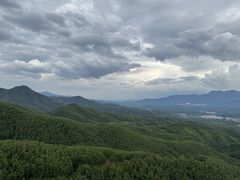 -中原大佛景区