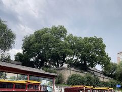 -皇家御河游(紫御湾码头)