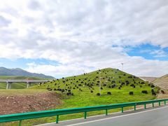 -青海湖国家重点风景名胜区