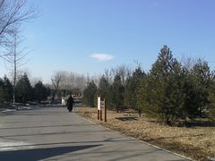 -东郊湿地公园