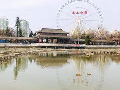 -天津水上公园