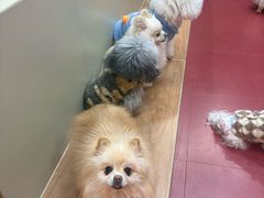 -和它·交个朋友·狗咖猫咖(爱琴海店)