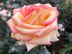 -人民公园(罗湖区)