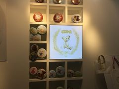 -香港珍妮曲奇聪明小熊饼干