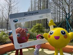 -黄海国家森林公园