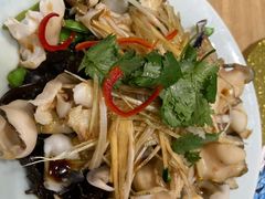 葱油螺片-小平岛開海水饺(浑南店)