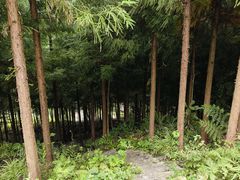 -阿坝州汶川特别旅游区