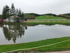 -迪茵湖田家舍生态农场