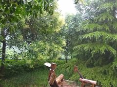-龙裕山庄烤全羊