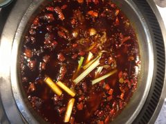 鲜兔火锅-红辣椒·川菜·火锅(科华路店)