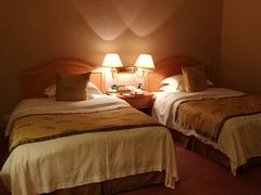 -南京维景国际大酒店(南京博物院店)