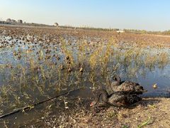 -天津东丽湖风景区