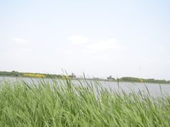 -西青郊野公园