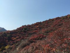 -水峪民俗村