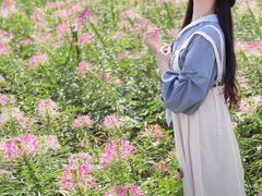 -荷兰花海