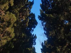 -八大关景区