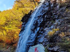 -龙道沟景区