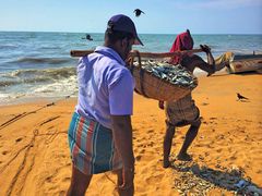 -尼甘布海鲜市场