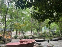 -成都市活水公园