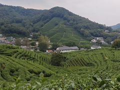 -十里琅珰