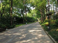 -上海虹桥迎宾馆