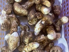 -银同牦牛肉火锅