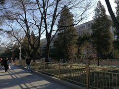 -中国公安部总部大楼