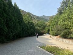 -北京鹫峰国家森林公园